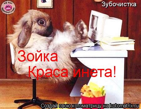 Зубочистка Зойка Краса инета!... Котоматрица: Зубочистка Зойка Краса инета!