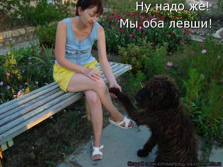 Ну надо же! Мы оба левши!... Котоматрица: Ну надо же! Мы оба левши!
