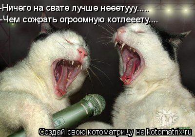 -Ничего на свате лучше нееетууу..... -Чем сожрать огроомную котлееету....... Котоматрица: -Ничего на свате лучше нееетууу..... -Чем сожрать огроомную котлееету....