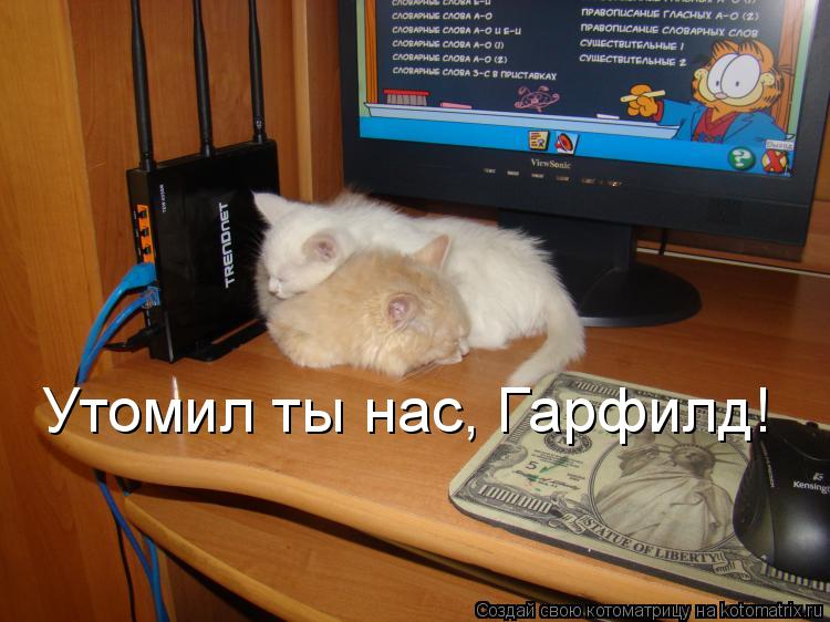 Утомил ты нас, Гарфилд!... Котоматрица: Утомил ты нас, Гарфилд!
