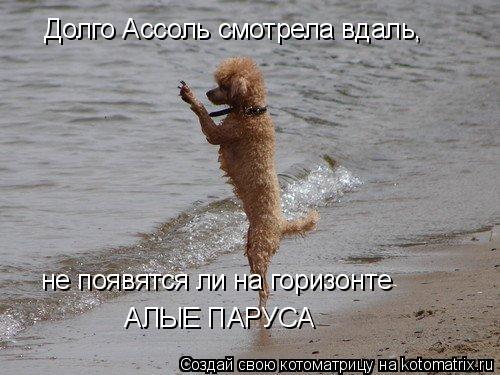 Долго Ассоль смотрела вдаль, не появятся ли на горизонте АЛЫЕ ПАРУСА... Котоматрица: Долго Ассоль смотрела вдаль, не появятся ли на горизонте АЛЫЕ ПАРУСА