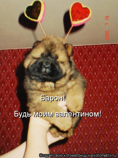 Будь моим валентином! Барон!... Котоматрица: Будь моим валентином! Барон!