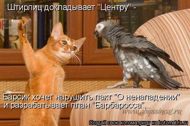 Штирлиц докладывает "Центру" - Барсик хочет нарушить пакт "О ненападении" и разрабатывает план "Барб... Котоматрица: Штирлиц докладывает "Центру" - Барсик хочет нарушить пакт "О ненападении" и разрабатывает план "Барбаросса"...
