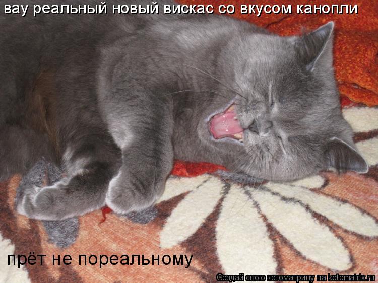 вау реальный новый вискас со вкусом канопли прёт не пореальному... Котоматрица: вау реальный новый вискас со вкусом канопли прёт не пореальному