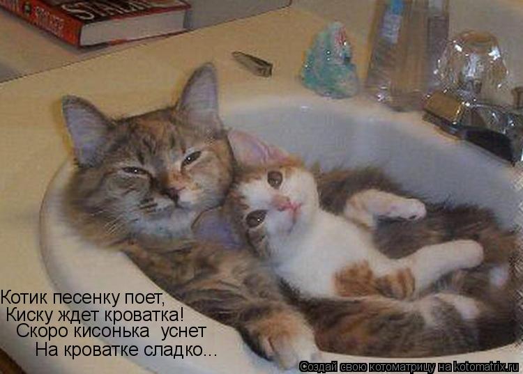 Котик песенку поет, Киску ждет кроватка! Скоро кисонька уснет На кроватке сладко...... Котоматрица: Котик песенку поет, Киску ждет кроватка! Скоро кисонька уснет На кроватке сладко...