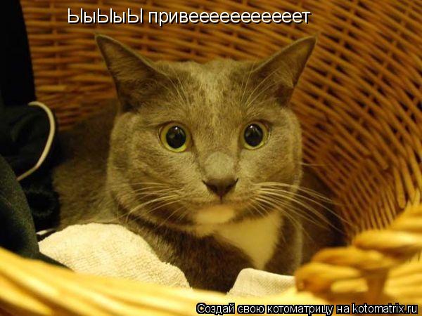 ЫыЫыЫ привееееееееееет... Котоматрица: ЫыЫыЫ привееееееееееет