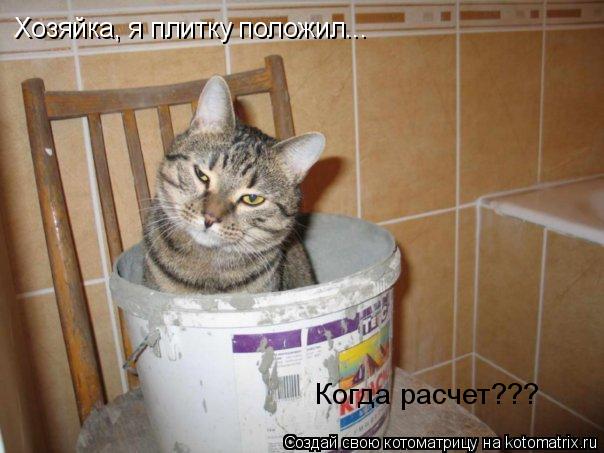 Хозяйка, я плитку положил... Когда расчет???... Котоматрица: Хозяйка, я плитку положил... Когда расчет???