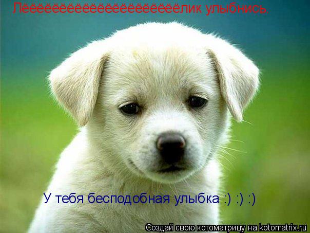 Лёёёёёёёёёёёёёёёёёёёёёлик улыбнись. У тебя бесподобная улыбка :) :) :)... Котоматрица: Лёёёёёёёёёёёёёёёёёёёёёлик улыбнись. У тебя бесподобная улыбка :) :) :)
