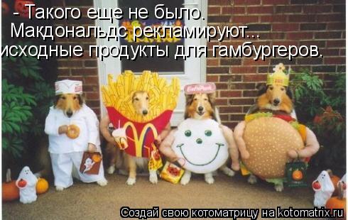 - Такого еще не было. Макдональдс рекламируют... исходные продукты для гамбургеров.... Котоматрица: - Такого еще не было. Макдональдс рекламируют... исходные продукты для гамбургеров.