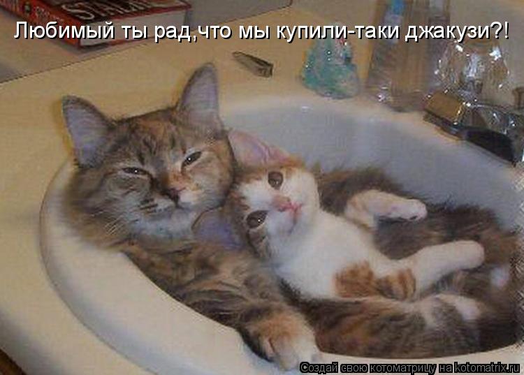 Любимый ты рад,что мы купили-таки джакузи?!... Котоматрица: Любимый ты рад,что мы купили-таки джакузи?!