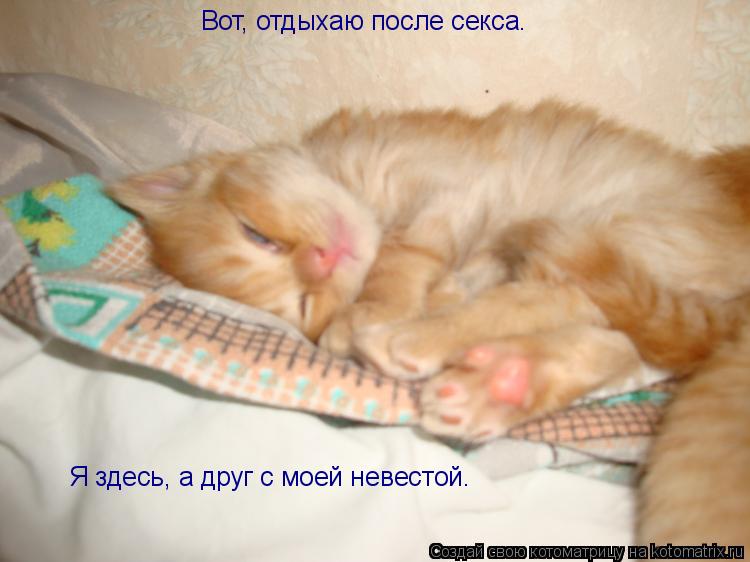 Вот, отдыхаю после секса. Вот, отдыхаю после секса. Я здесь, а друг с моей невестой.... Котоматрица: Вот, отдыхаю после секса. Вот, отдыхаю после секса. Я здесь, а друг с моей невестой.