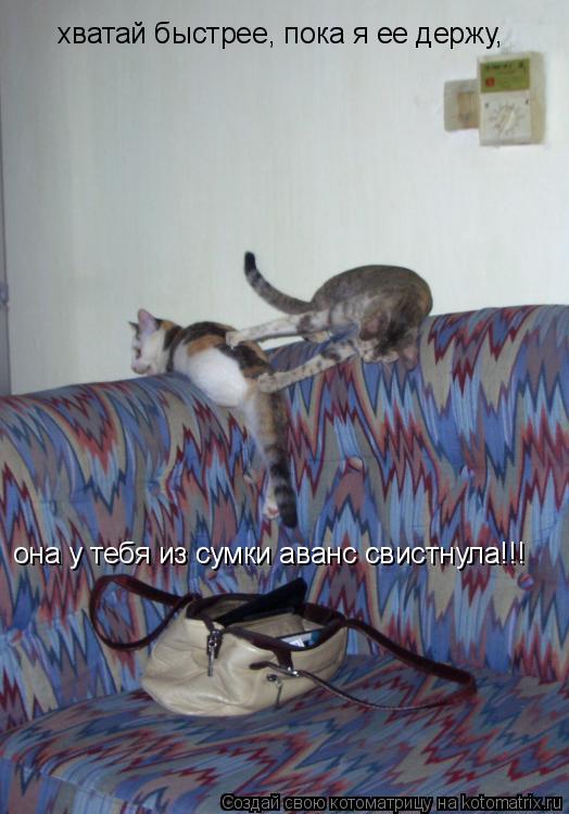 хватай быстрее, пока я ее держу, она у тебя из сумки аванс свистнула!!!... Котоматрица: хватай быстрее, пока я ее держу, она у тебя из сумки аванс свистнула!!!