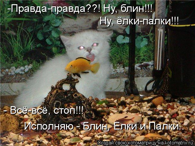 Котоматрица: -Правда-правда??! Ну, блин!!! Ну, ёлки-палки!!! - Всё-всё, стоп!!! Исполняю - Блин, Елки и Палки..