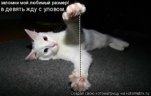 <---------------------------> запомни мой любимый размер! в девять жду с уловом.... Котоматрица: <---------------------------> запомни мой любимый размер! в девять жду с уловом.
