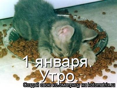 1 января. Утро.... Котоматрица: 1 января. Утро.