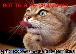 вот те а не свидание... Котоматрица: вот те а не свидание