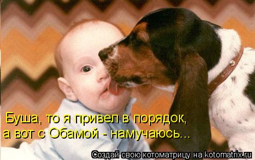 Котоматрица: Буша, то я привел в порядок, Буша, то я привел в порядок, а вот с Обамой - намучаюсь...