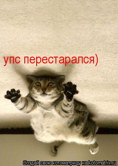 Котоматрица: упс перестарался)
