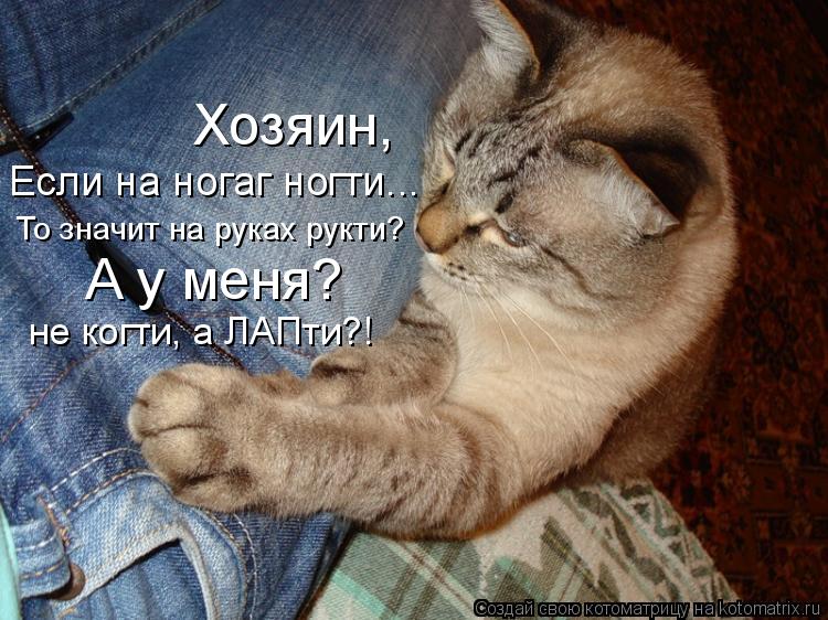 Котоматрица: Если на ногаг ногти... То значит на руках рукти? Хозяин, А у меня? не когти, а ЛАПти?!