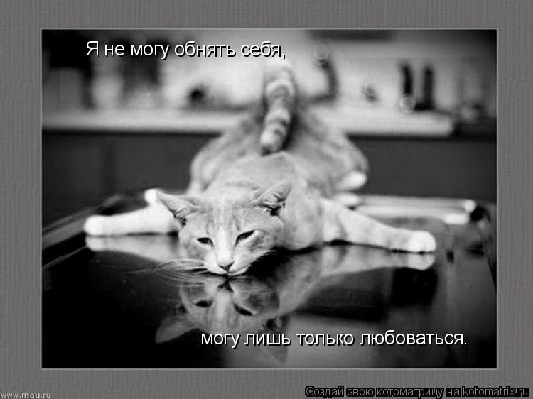Я не могу обнять себя, могу лишь только любоваться.... Котоматрица: Я не могу обнять себя, могу лишь только любоваться.