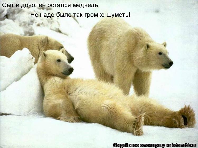 Сыт и доволен остался медведь, Не надо было так громко шуметь!... Котоматрица: Сыт и доволен остался медведь, Не надо было так громко шуметь!