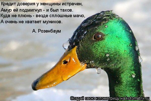 Кредит доверия у женщины истрачен, Амур ей подмигнул - и был таков. Куда не плюнь - везде сплошные ма... Котоматрица: Кредит доверия у женщины истрачен, Амур ей подмигнул - и был таков. Куда не плюнь - везде сплошные мачо, А очень не хватает мужиков. А. Розенба