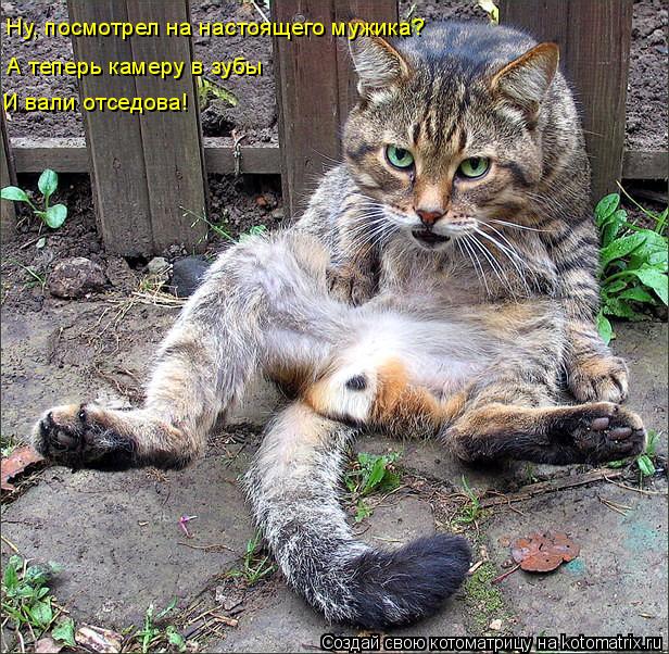 Ну, посмотрел на настоящего мужика? А теперь камеру в зубы И вали отседова!... Котоматрица: Ну, посмотрел на настоящего мужика? А теперь камеру в зубы И вали отседова!