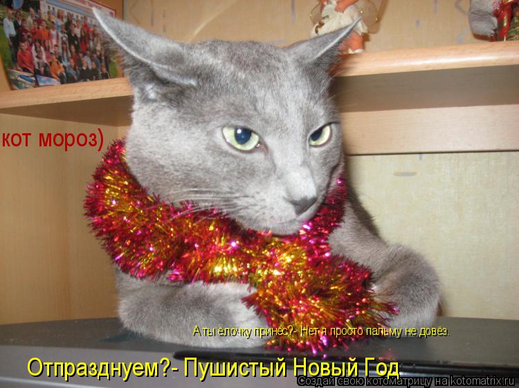 кот мороз) Отпразднуем?- Пушистый Новый Год А ты ёлочку принёс?- Нет я просто пальму не довёз.... Котоматрица: кот мороз) Отпразднуем?- Пушистый Новый Год А ты ёлочку принёс?- Нет я просто пальму не довёз.