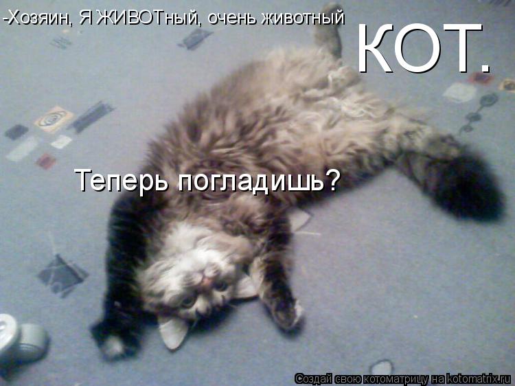 -Хозяин, Я ЖИВОТный, очень животный КОТ. Теперь погладишь?... Котоматрица: -Хозяин, Я ЖИВОТный, очень животный КОТ. Теперь погладишь?