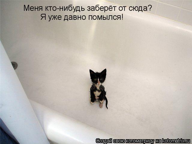 Меня кто-нибудь заберёт от сюда? Я уже давно помылся!... Котоматрица: Меня кто-нибудь заберёт от сюда? Я уже давно помылся!