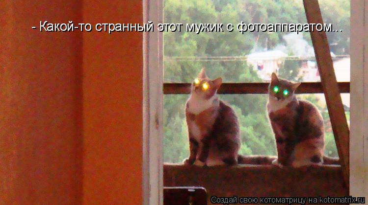 - Какой-то странный этот мужик с фотоаппаратом... - Какой-то странный этот мужик с фотоаппаратом...... Котоматрица: - Какой-то странный этот мужик с фотоаппаратом... - Какой-то странный этот мужик с фотоаппаратом...