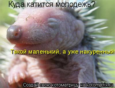 Куда катится молодежь? Такой маленький, а уже накуренный!... Котоматрица: Куда катится молодежь? Такой маленький, а уже накуренный!