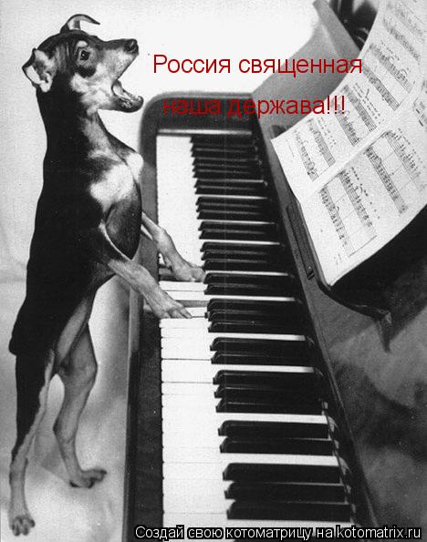 наша держава!!! Россия священная... Котоматрица: наша держава!!! Россия священная
