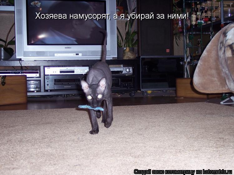 Хозяева намусорят, а я убирай за ними!... Котоматрица: Хозяева намусорят, а я убирай за ними!