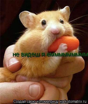 не видеш я емммммммммммммммммммммм не видеш я емммммммммммммммммммммм... Котоматрица: не видеш я емммммммммммммммммммммм не видеш я емммммммммммммммммммммм