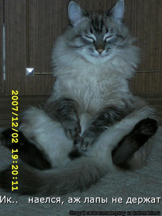 Ик.. наелся, аж лапы не держат!... Котоматрица: Ик.. наелся, аж лапы не держат!