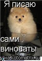 Я писаю виноваты сами... Котоматрица: Я писаю виноваты сами