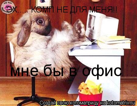 ЭХ..... КОМП НЕ ДЛЯ МЕНЯ!! мне бы в офис... Котоматрица: ЭХ..... КОМП НЕ ДЛЯ МЕНЯ!! мне бы в офис