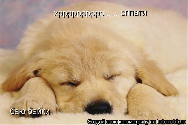хрррррррррр....... сппати баю байки... Котоматрица: хрррррррррр....... сппати баю байки