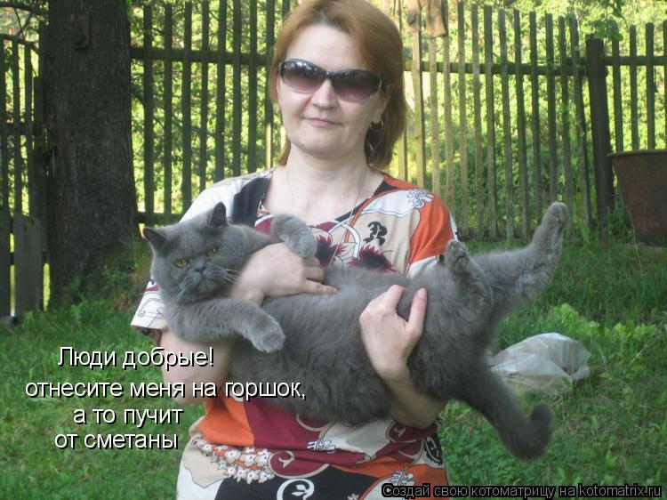 Котоматрица: Люди добрые! отнесите меня на горшок, а то пучит от сметаны