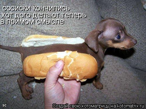 сосиски кончились хот дого делают теперь в примом смысле... Котоматрица: сосиски кончились хот дого делают теперь в примом смысле