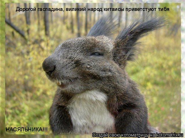 Дорогой гаспадина, виликий народ китаисы приветстуют тибя НАСЯЛЬНИКА!!!... Котоматрица: Дорогой гаспадина, виликий народ китаисы приветстуют тибя НАСЯЛЬНИКА!!!