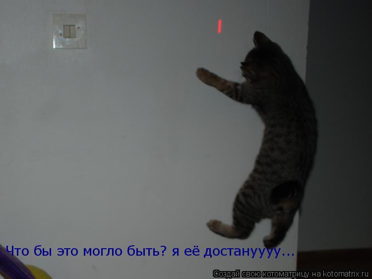 Что бы это могло быть? я её достануууу...... Котоматрица: Что бы это могло быть? я её достануууу...