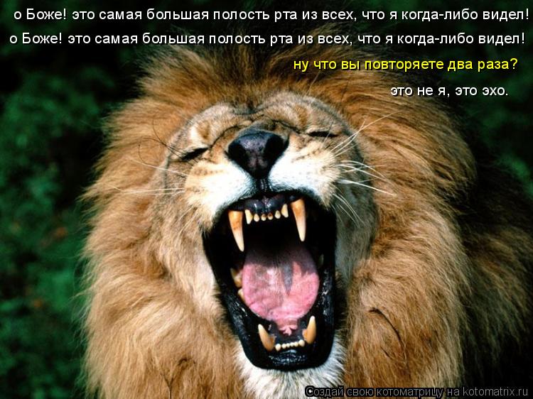 о Боже! это самая большая полость рта из все о Боже! это самая большая полость рта из всех, что я ког... Котоматрица: о Боже! это самая большая полость рта из все о Боже! это самая большая полость рта из всех, что я когда-либо видел! о Боже! это самая большая по