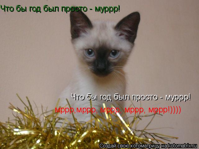 Что бы год был просто - муррр! Что бы год был просто - муррр! мррр,мррр, мррр, мррр, мррр!))))... Котоматрица: Что бы год был просто - муррр! Что бы год был просто - муррр! мррр,мррр, мррр, мррр, мррр!))))
