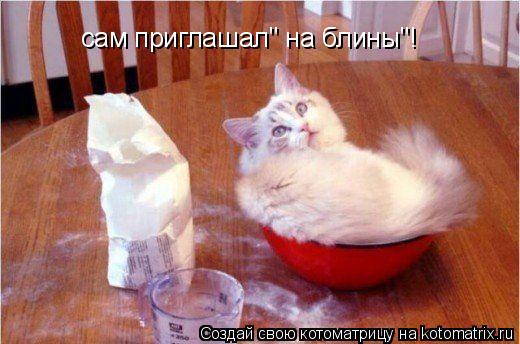 сам приглашал" на блины"!... Котоматрица: сам приглашал" на блины"!