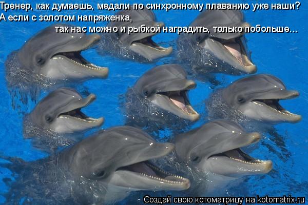 Тренер, как думаешь, медали по синхронному плаванию уже наши? А если с золотом напряженка, так нас мо... Котоматрица: Тренер, как думаешь, медали по синхронному плаванию уже наши? А если с золотом напряженка, так нас можно и рыбкой наградить, только побольше.