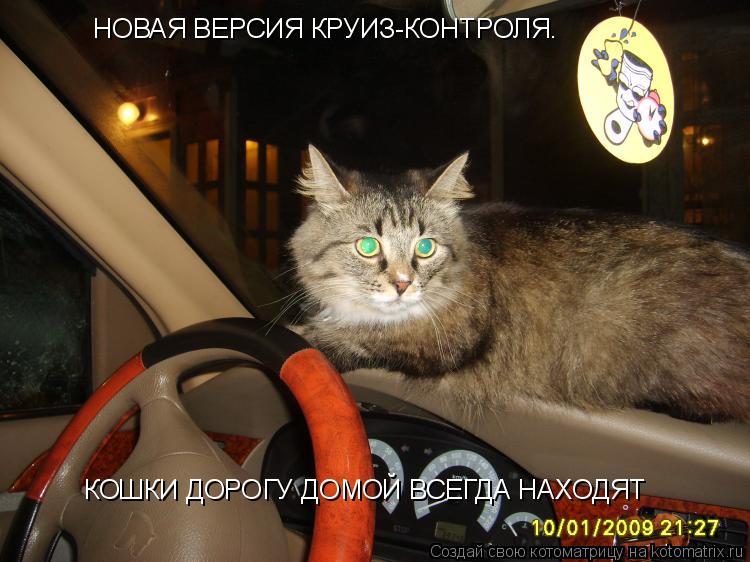 НОВАЯ ВЕРСИЯ КРУИЗ-КОНТРОЛЯ. КОШКИ ДОРОГУ ДОМОЙ ВСЕГДА НАХОДЯТ... Котоматрица: НОВАЯ ВЕРСИЯ КРУИЗ-КОНТРОЛЯ. КОШКИ ДОРОГУ ДОМОЙ ВСЕГДА НАХОДЯТ