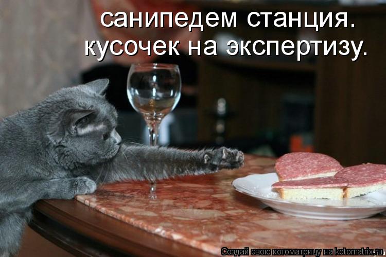 санипедем станция. кусочек на экспертизу.... Котоматрица: санипедем станция. кусочек на экспертизу.