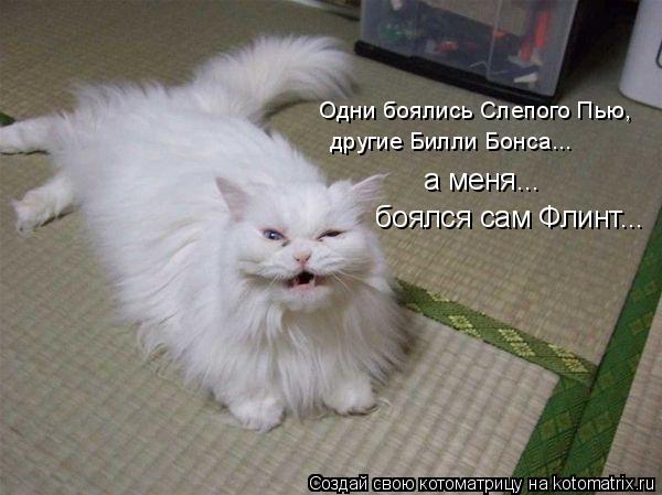 Одни боялись Слепого Пью, другие Билли Бонса... а меня... боялся сам Флинт...... Котоматрица: Одни боялись Слепого Пью, другие Билли Бонса... а меня... боялся сам Флинт...